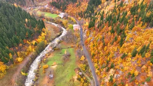 Autumn River and Winding Roads – Colorful Nature Landscape