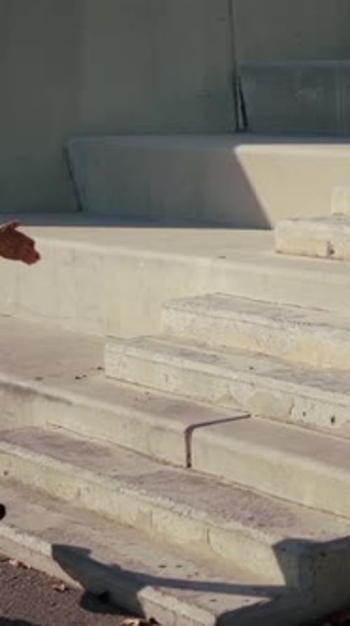 Muscular Man Runs Up Concrete Urban Stairs