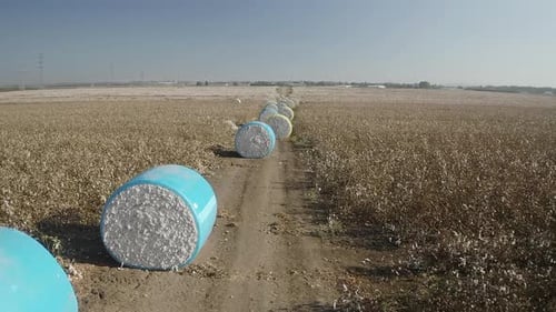 Fardos de algodón apilados almacenados después de la recolección - Emek Hefer Agriculture
