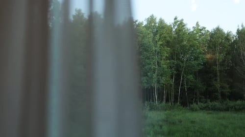 La vue du soir depuis la fenêtre de la nature pittoresque avec de beaux arbres verts, une grande forêt