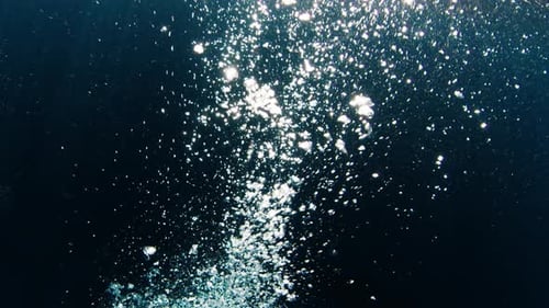Underwater View of the Bubbles Ascending From the Depth