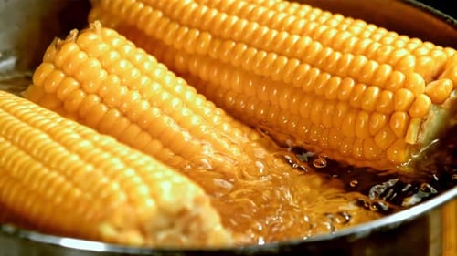 Bright Corn Boiling in Water in a Kitchen