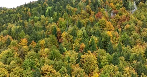 Panorama of Beautiful Countryside of Romania
