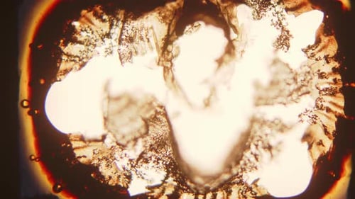 Abstract Organic Pattern with Bubbles and Bright Center