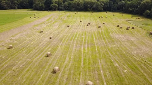 Hay bales in a green field - Aerial view