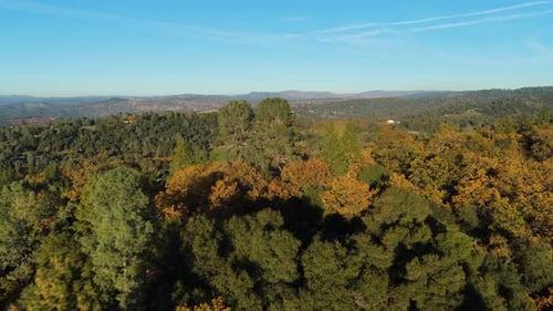 Colorful Forested Hills Panorama in Mt Aukum California