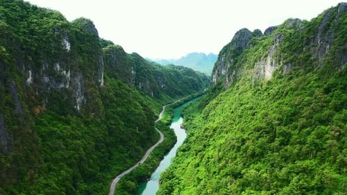 Drone, river and valley with road in forest for environment, countryside wildernesses and trees