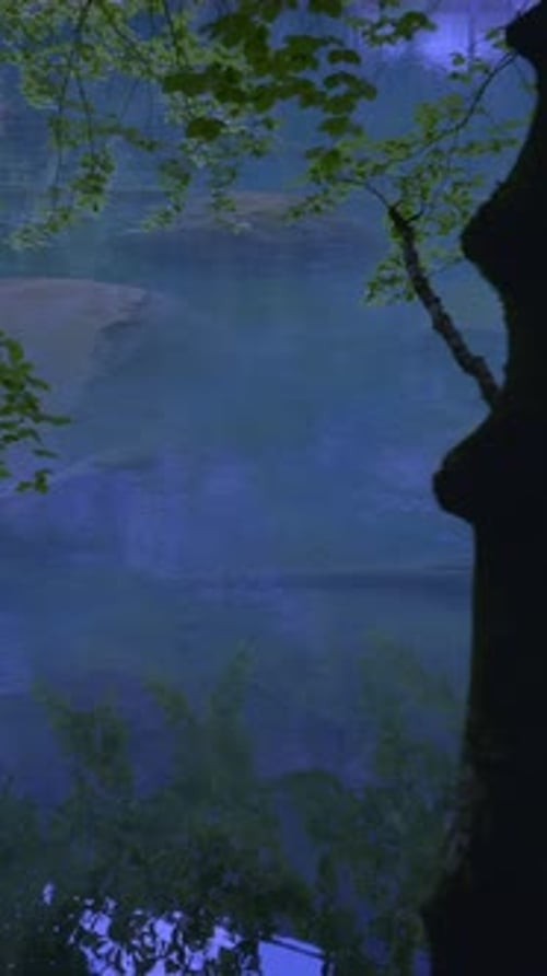 Serene and Beautiful Reflections in a Calm and Tranquil Water Body Embracing Natures Elements