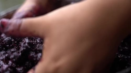 Brazilian woman is hand processing Acai fruit in rural Brazil.