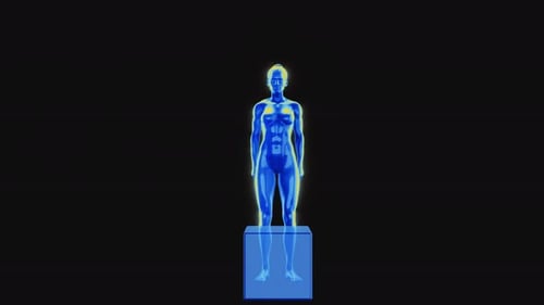 Futuristic Female Body Scan Doing Squats Animation