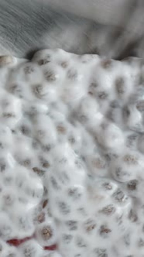 Preparing Refreshing Chia Seed Pudding with Fruit