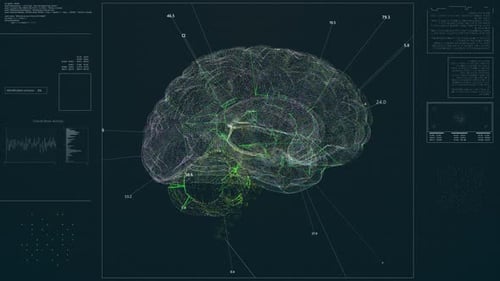 Animated Futuristic Brain Scan Data Visualization HUD