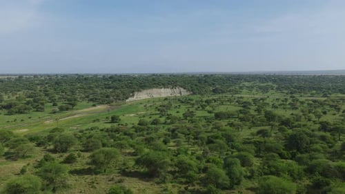 Drone shot of the landscape in Tarangire National Park