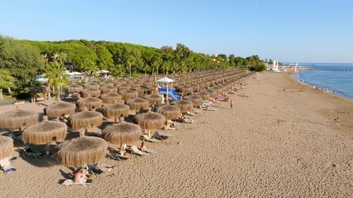 Aerial View of Umbrellas Palms on the Sandy Beach People Blue Sea with Waves at Sunset
