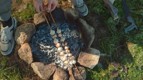 Camping Moment Roasting Mushrooms and Sausages Over Fire in Wilderness Top View