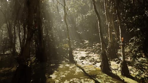 Exploring a Sunlit Tropical Jungle Environment