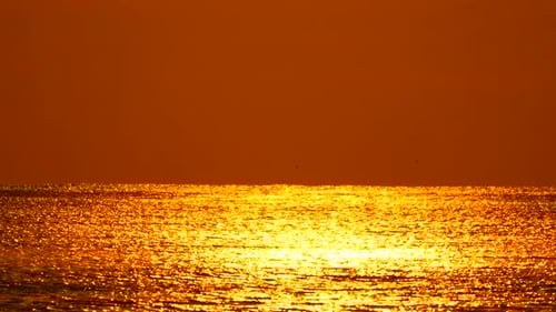 Sunset Ocean Water Shimmers Golden Light Reflection on Peaceful Sea Surface