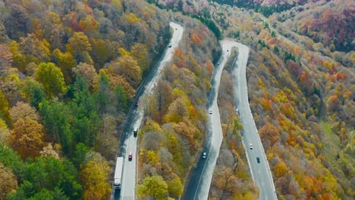 Aerial view roads among forest.