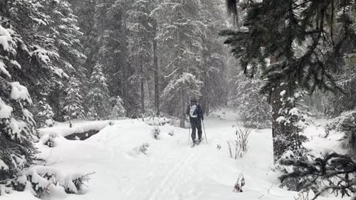 Man cross country snow skiing in Montana mountains on Christmas holiday