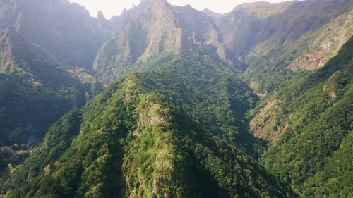 Majestic Mountain Forests Covering Green Valleys and Steep Cliffs Drone View