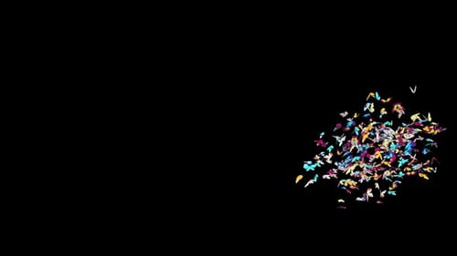 Colorful Flying Butterfly Swarm Transition Effect