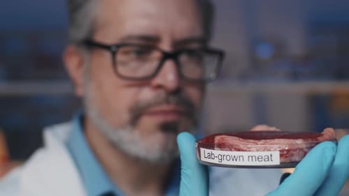 Scientist Examining Lab-Grown Meat in Petri Dish