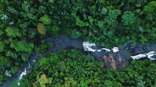 Aerial shot of river and many waterfalls in green forest