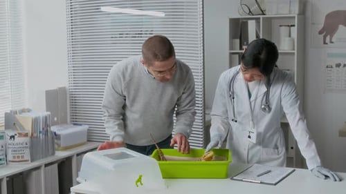 Veterinarian Examines Reptile with Owner in Office