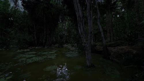Dark Cypress Swamp Illuminated By Moonlight with Mist and Reflection