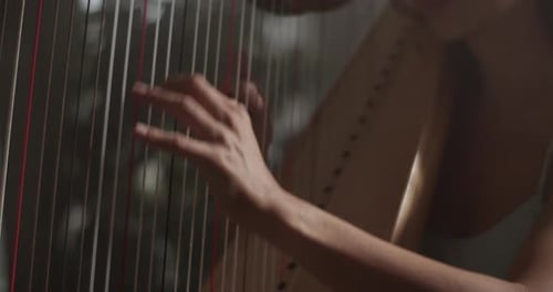Sensual Female Musician Playing Harp in Studio