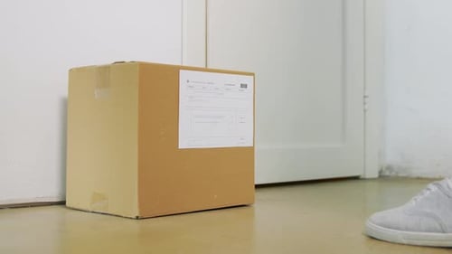 Delivery Person Places Package by Front Door