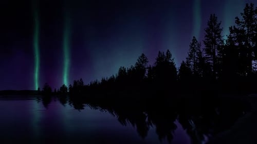 Nordlichter, See und Bäume. Green Lights Aurora Borealis in einer kalten Nacht und Sternenhimmel.