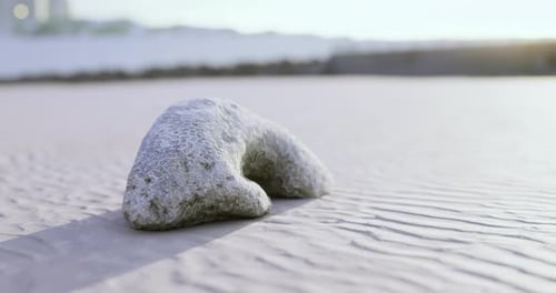 Fluid Ripples on Sandy Beach Surface Motion