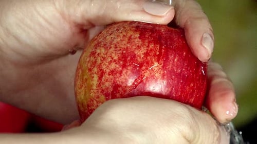 Fruit hygiene, fresh delicious organic food, hand washing processes