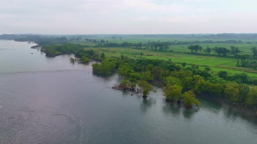 Breathtaking aerial scenery of a lush tropical mangrove fringing a pristine ocean coastline