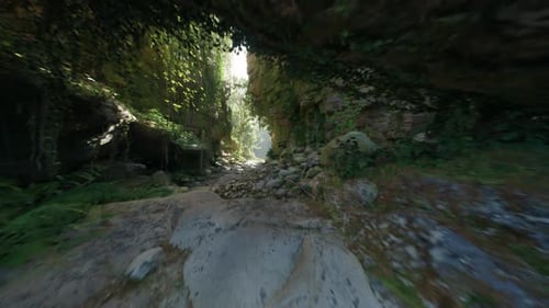 Une exploration extérieure radieuse avec des murs et des plantes recouverts de mousse