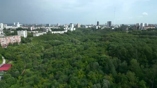 Luftaufnahme des Stadtwaldes und der Skyline der Stadt (Clip)