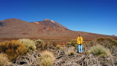 Rear View of Tourist Woman Looking at Highest Point of Spain