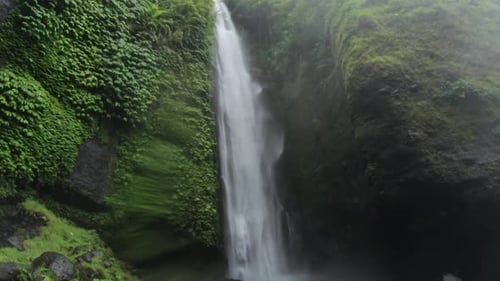Natural jungle waterfall, lush green exotic forest with lots of water