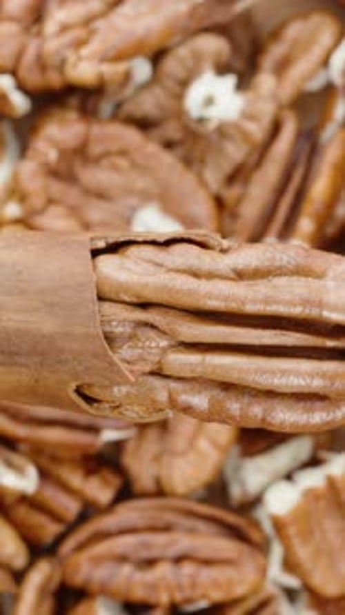 Vertical video. Pecan nut in a cracked shell rotates cyclically on top of a background of other nuts