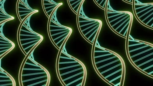 Digital Illustration of the DNA Structure Double Helix