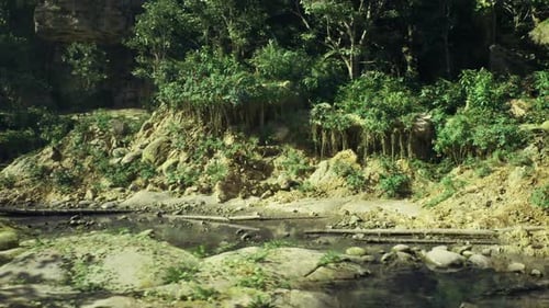 Bord paisible de la rivière Green avec des eaux douces et un habitat naturel