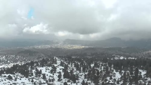 Snowfall Over Silent Winter Forest | Flakes Descending Through Pine Canopy | Cinematic Drone Footage