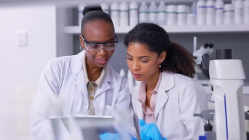 Scientists Working Together in a Lab