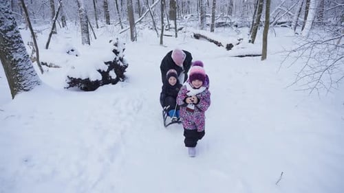 Mom Helps Push Sleds for Children in Snowy Forest
