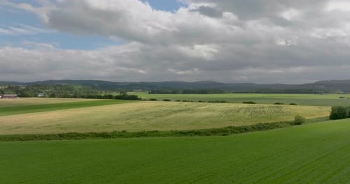 Evergreen Landscape Of Vast Agricultural Plain With Wheat Field Crops. Aerial Drone Shot