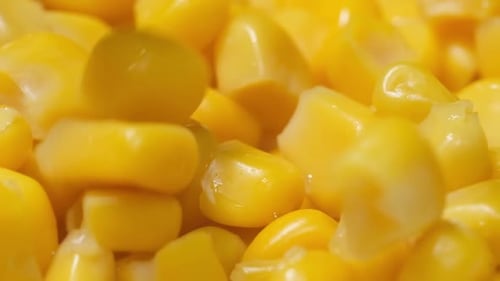 Bright Yellow Sweetcorn Kernels Glistening, Ready to Eat
