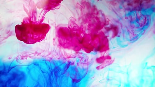Magenta and Blue Ink Swirl Abstractly