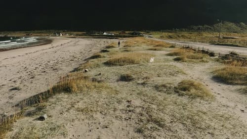 Drone Follows Big White Swiss Shepherd Dog Running on Grass Beach Towards Female Master