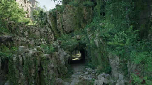 A Mosscovered Tunnel Nestled in the Heart of a Lush Tropical Jungle